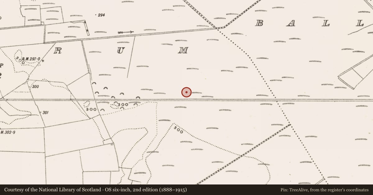 Ordnance Survey six-inch map, 2nd edition (1888–1915) covering the location of Structure - peatland, Rathdrum, County Offaly, with a pin at the register's coordinates