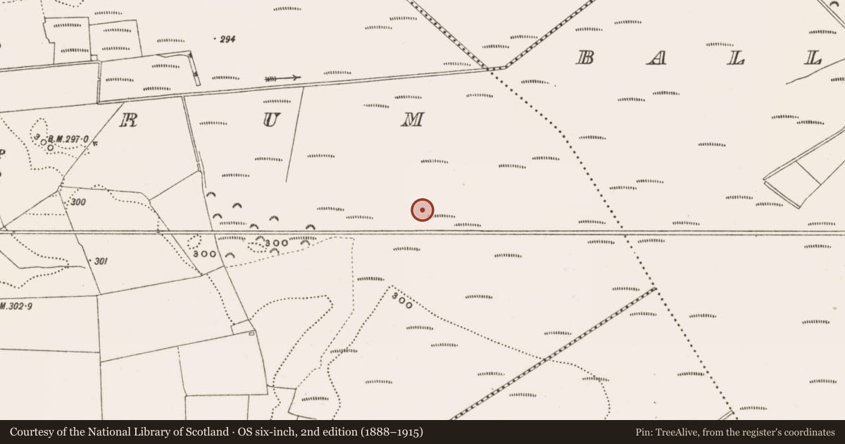 Ordnance Survey six-inch map, 2nd edition (1888–1915) covering the location of Structure - peatland, Rathdrum, County Offaly, with a pin at the register's coordinates