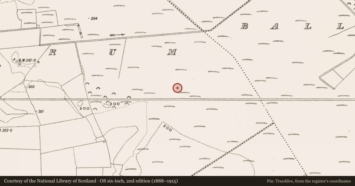 Ordnance Survey six-inch map, 2nd edition (1888–1915) covering the location of Structure - peatland, Rathdrum, County Offaly, with a pin at the register's coordinates