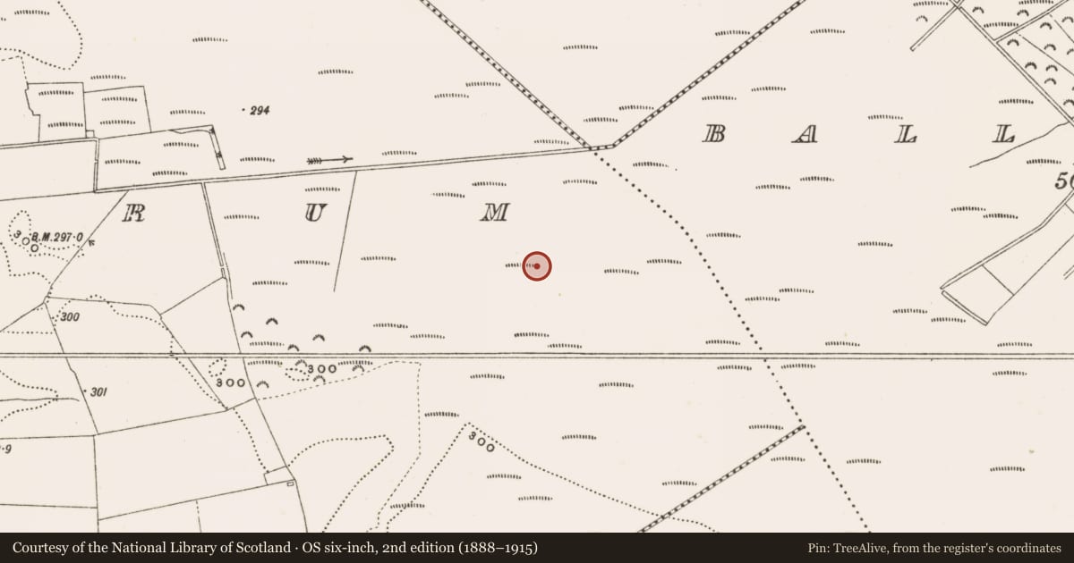 Ordnance Survey six-inch map, 2nd edition (1888–1915) covering the location of Structure - peatland, Rathdrum, County Offaly, with a pin at the register's coordinates