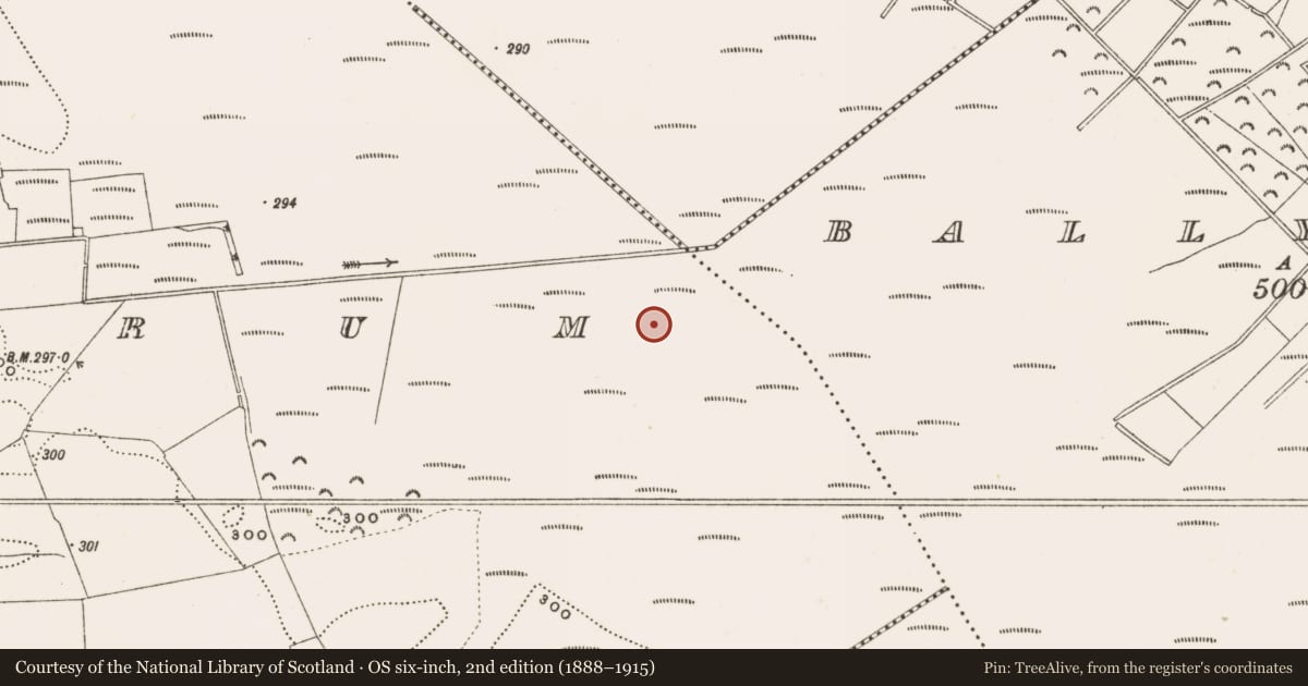Ordnance Survey six-inch map, 2nd edition (1888–1915) covering the location of Structure - peatland, Rathdrum, County Offaly, with a pin at the register's coordinates
