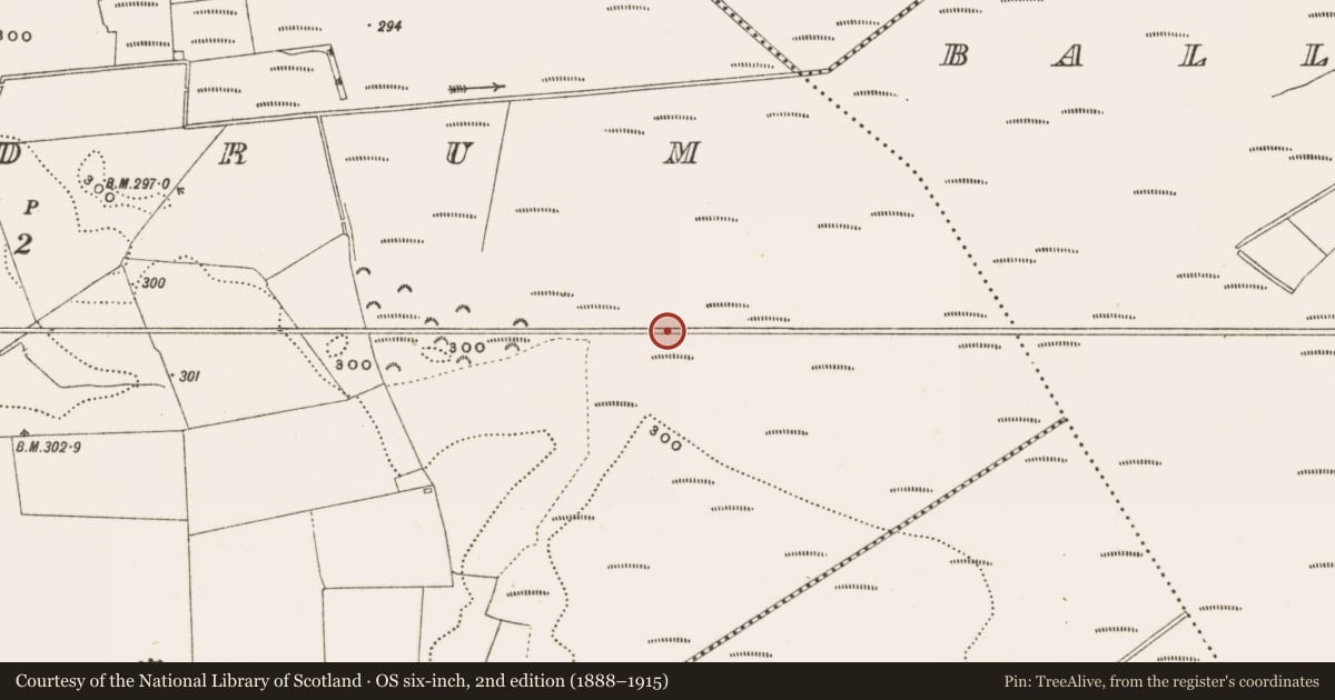 Ordnance Survey six-inch map, 2nd edition (1888–1915) covering the location of Structure - peatland, Rathdrum, County Offaly, with a pin at the register's coordinates