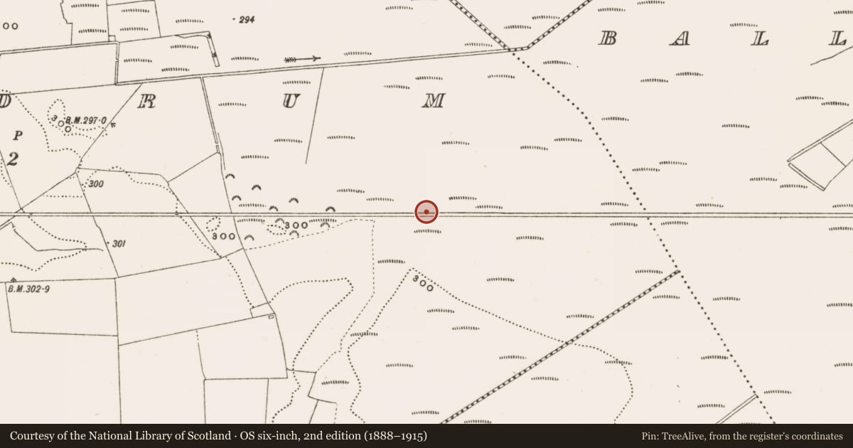 Ordnance Survey six-inch map, 2nd edition (1888–1915) covering the location of Structure - peatland, Rathdrum, County Offaly, with a pin at the register's coordinates