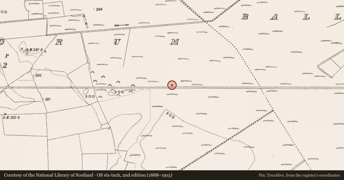 Ordnance Survey six-inch map, 2nd edition (1888–1915) covering the location of Structure - peatland, Rathdrum, County Offaly, with a pin at the register's coordinates