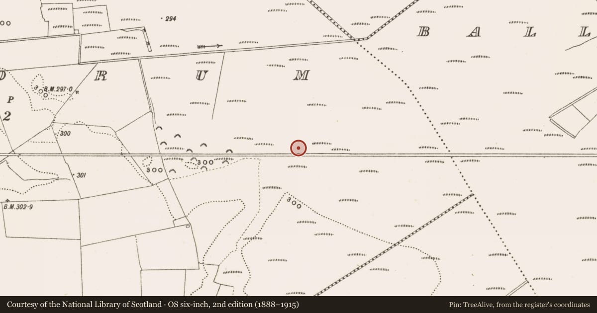 Ordnance Survey six-inch map, 2nd edition (1888–1915) covering the location of Structure - peatland, Rathdrum, County Offaly, with a pin at the register's coordinates
