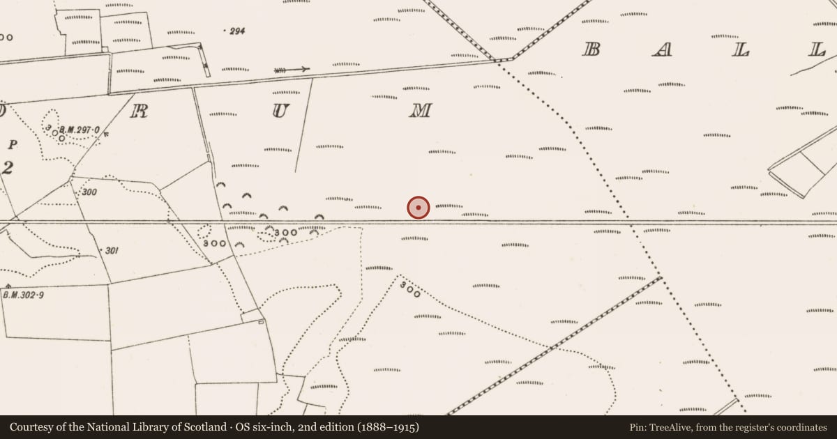 Ordnance Survey six-inch map, 2nd edition (1888–1915) covering the location of Structure - peatland, Rathdrum, County Offaly, with a pin at the register's coordinates