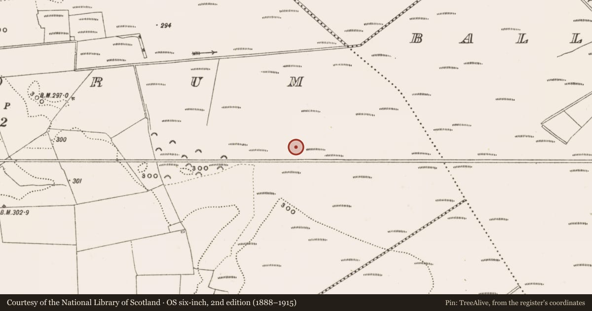 Ordnance Survey six-inch map, 2nd edition (1888–1915) covering the location of Structure - peatland, Rathdrum, County Offaly, with a pin at the register's coordinates