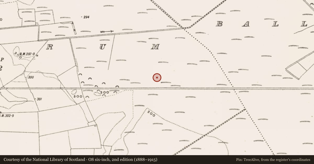Ordnance Survey six-inch map, 2nd edition (1888–1915) covering the location of Structure - peatland, Rathdrum, County Offaly, with a pin at the register's coordinates