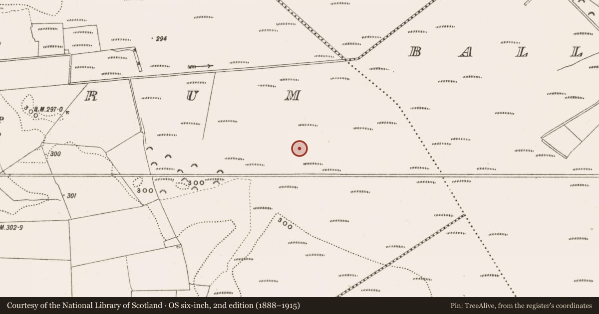 Ordnance Survey six-inch map, 2nd edition (1888–1915) covering the location of Structure - peatland, Rathdrum, County Offaly, with a pin at the register's coordinates