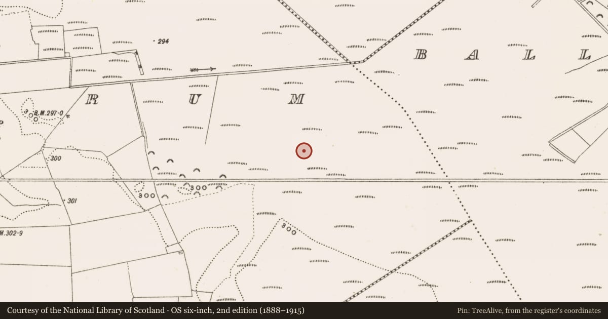 Ordnance Survey six-inch map, 2nd edition (1888–1915) covering the location of Structure - peatland, Rathdrum, County Offaly, with a pin at the register's coordinates