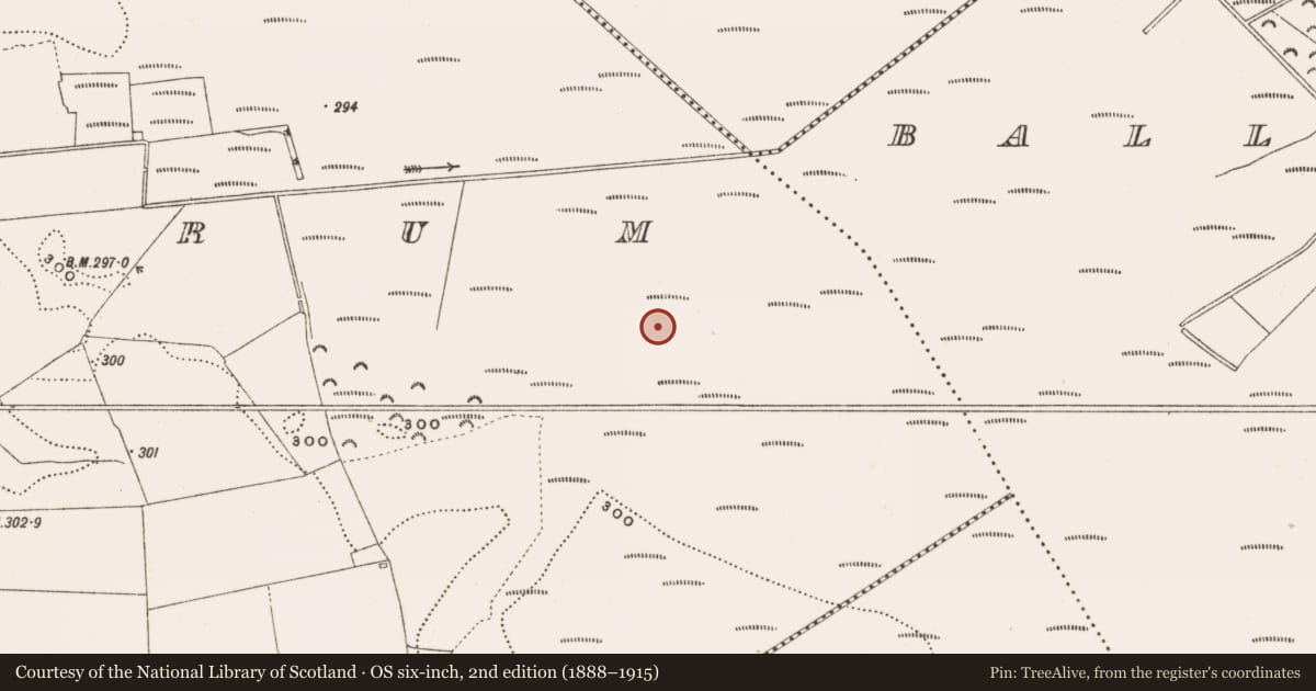 Ordnance Survey six-inch map, 2nd edition (1888–1915) covering the location of Structure - peatland, Rathdrum, County Offaly, with a pin at the register's coordinates