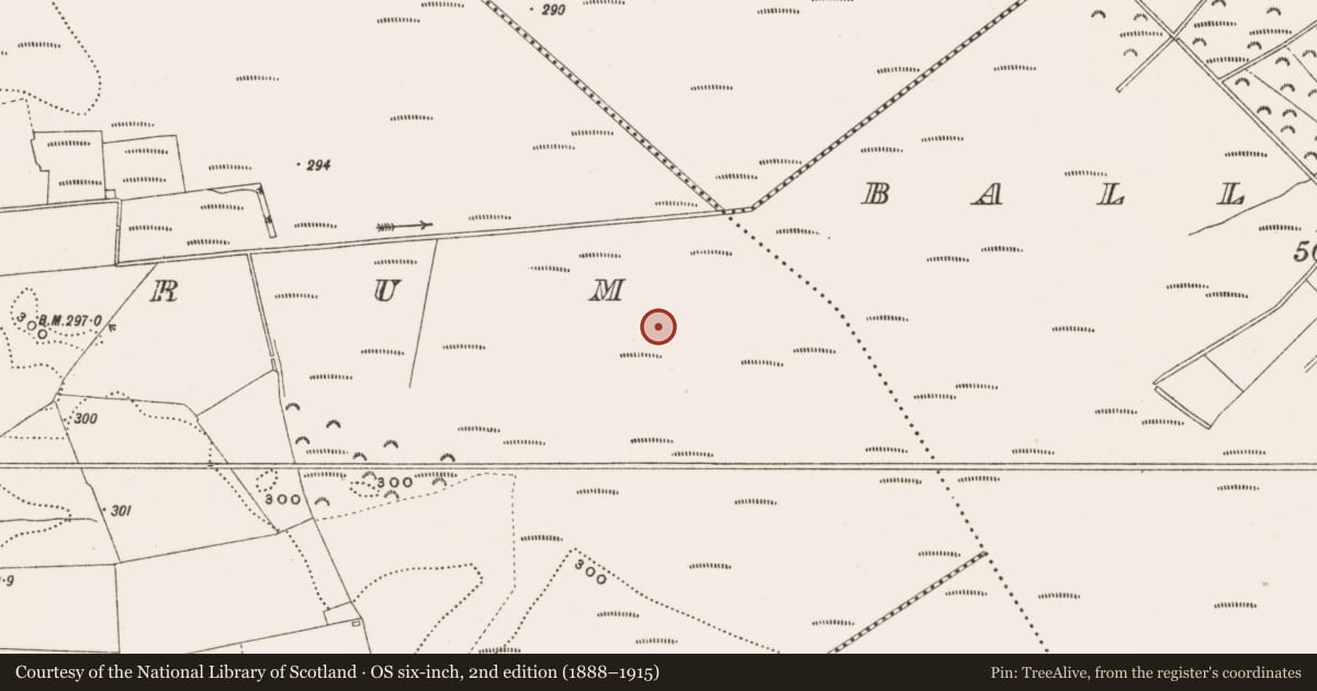 Ordnance Survey six-inch map, 2nd edition (1888–1915) covering the location of Structure - peatland, Rathdrum, County Offaly, with a pin at the register's coordinates