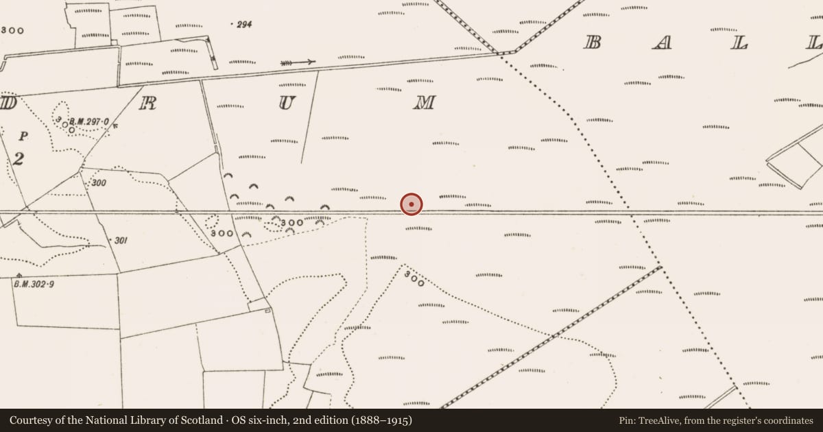 Ordnance Survey six-inch map, 2nd edition (1888–1915) covering the location of Structure - peatland, Rathdrum, County Offaly, with a pin at the register's coordinates