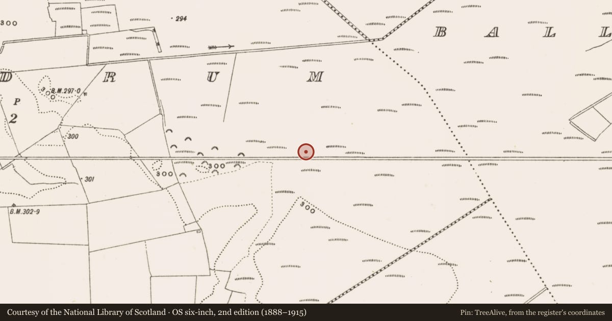 Ordnance Survey six-inch map, 2nd edition (1888–1915) covering the location of Structure - peatland, Rathdrum, County Offaly, with a pin at the register's coordinates