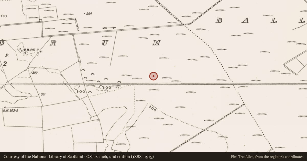 Ordnance Survey six-inch map, 2nd edition (1888–1915) covering the location of Structure - peatland, Rathdrum, County Offaly, with a pin at the register's coordinates