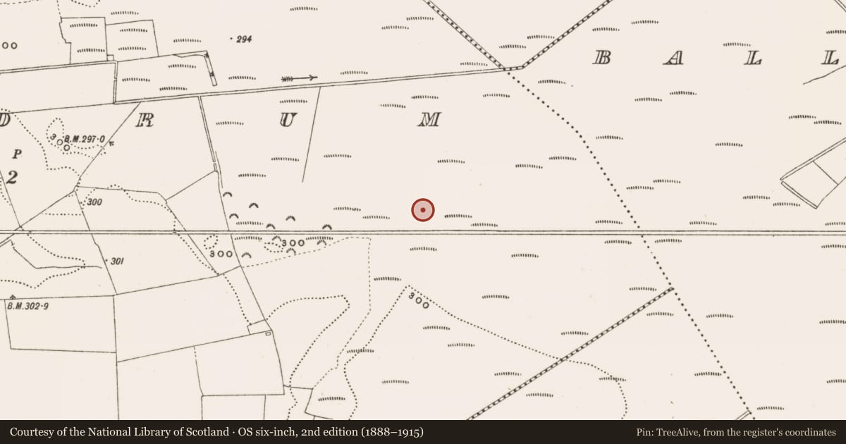 Ordnance Survey six-inch map, 2nd edition (1888–1915) covering the location of Structure - peatland, Rathdrum, County Offaly, with a pin at the register's coordinates