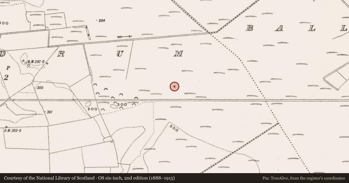 Ordnance Survey six-inch map, 2nd edition (1888–1915) covering the location of Structure - peatland, Rathdrum, County Offaly, with a pin at the register's coordinates
