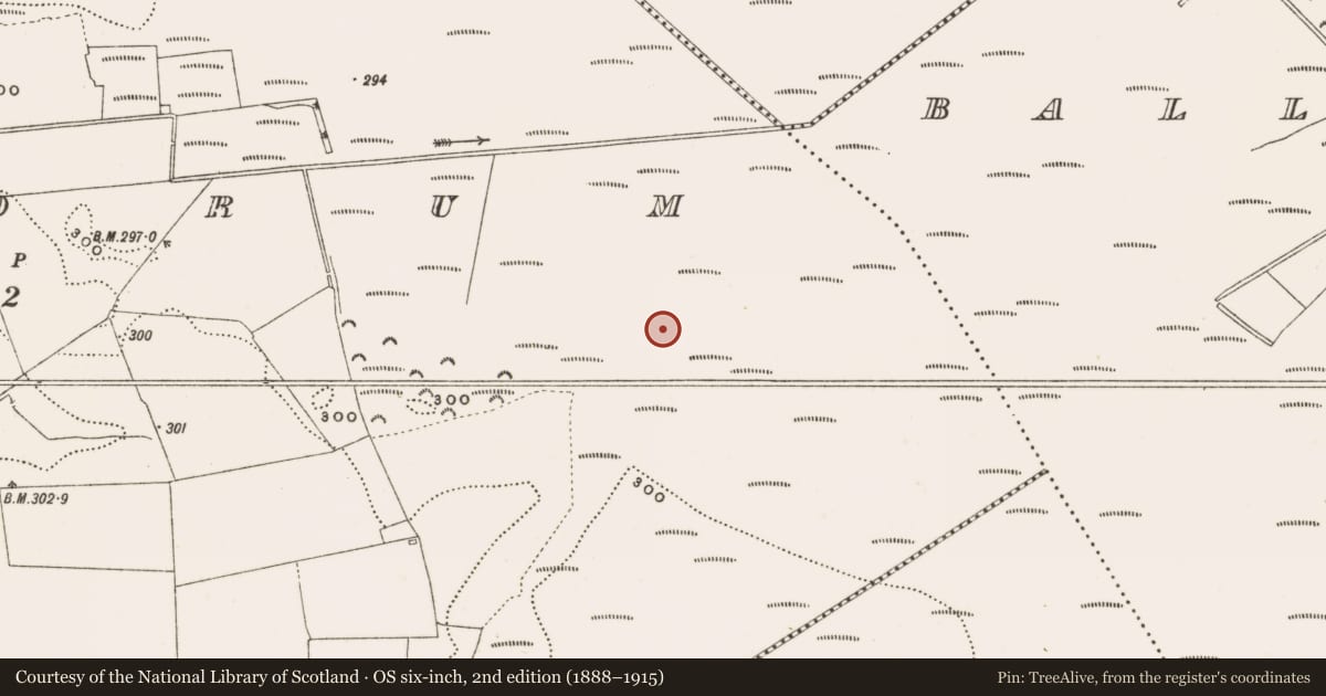 Ordnance Survey six-inch map, 2nd edition (1888–1915) covering the location of Structure - peatland, Rathdrum, County Offaly, with a pin at the register's coordinates