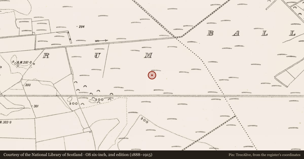 Ordnance Survey six-inch map, 2nd edition (1888–1915) covering the location of Structure - peatland, Rathdrum, County Offaly, with a pin at the register's coordinates