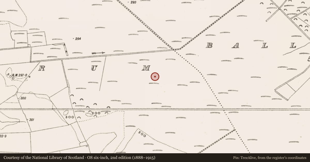 Ordnance Survey six-inch map, 2nd edition (1888–1915) covering the location of Structure - peatland, Rathdrum, County Offaly, with a pin at the register's coordinates