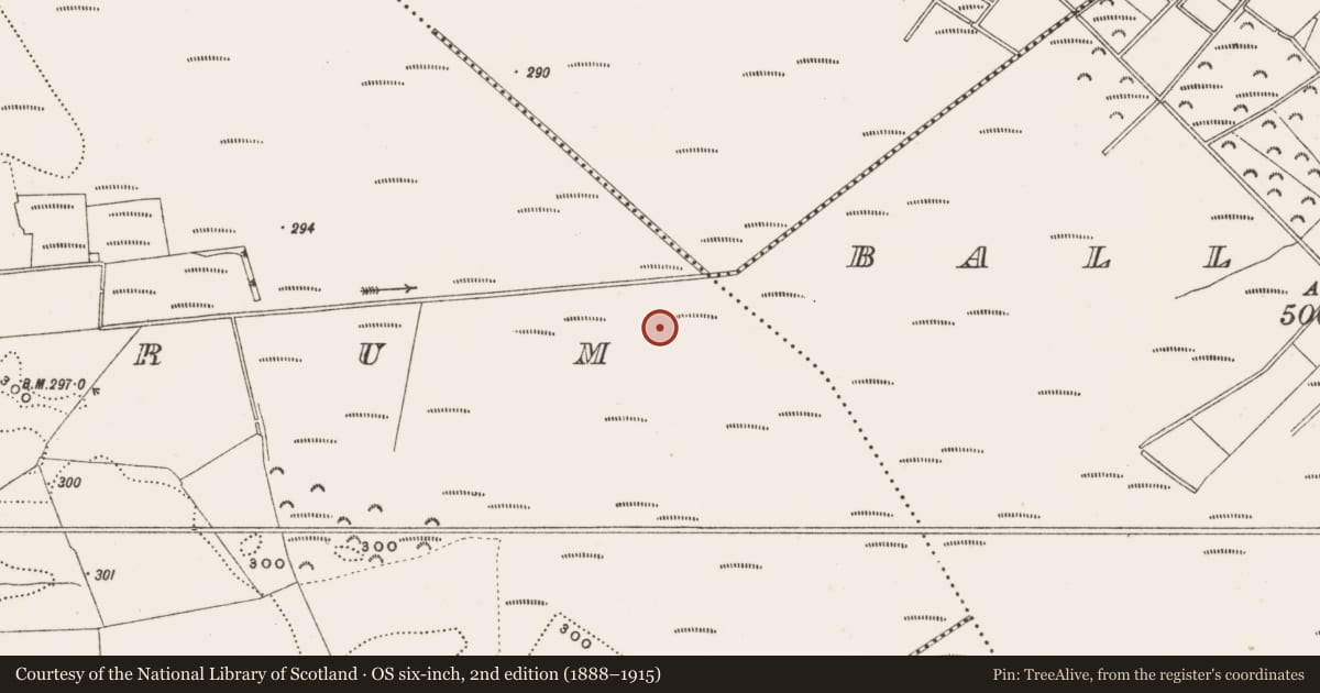 Ordnance Survey six-inch map, 2nd edition (1888–1915) covering the location of Structure - peatland, Rathdrum, County Offaly, with a pin at the register's coordinates