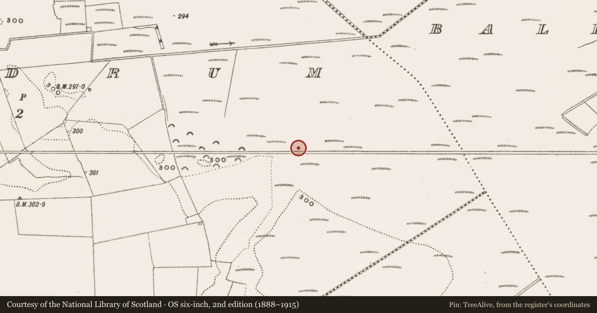 Ordnance Survey six-inch map, 2nd edition (1888–1915) covering the location of Structure - peatland, Rathdrum, County Offaly, with a pin at the register's coordinates