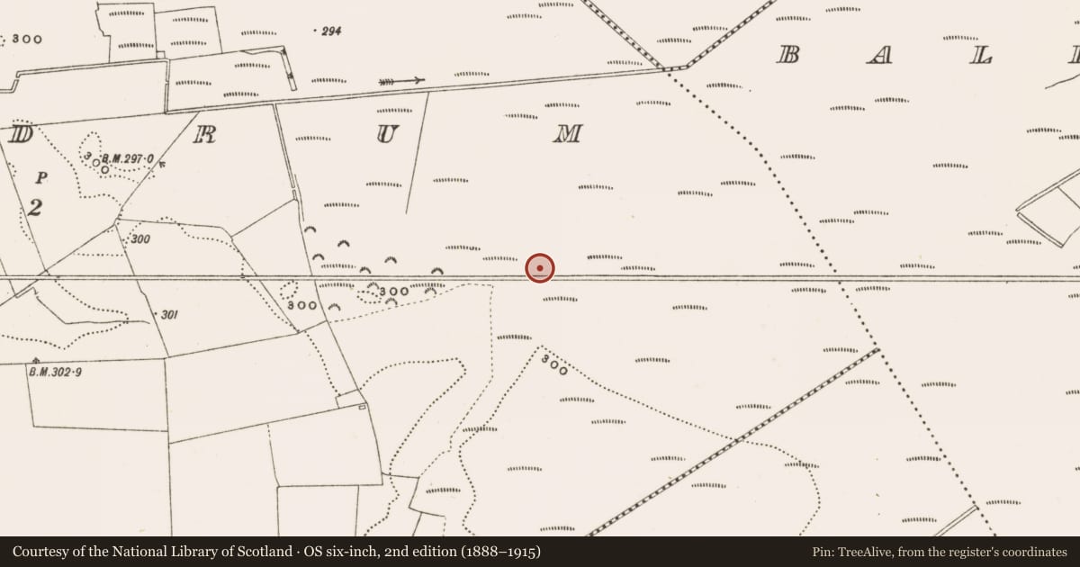 Ordnance Survey six-inch map, 2nd edition (1888–1915) covering the location of Structure - peatland, Rathdrum, County Offaly, with a pin at the register's coordinates