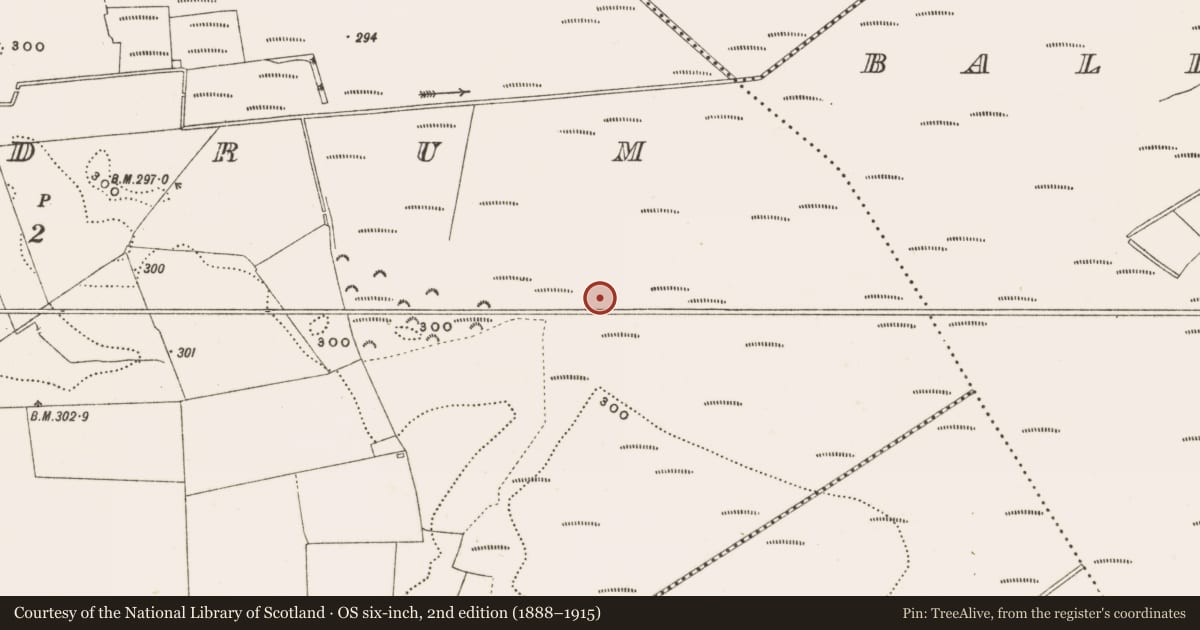 Ordnance Survey six-inch map, 2nd edition (1888–1915) covering the location of Structure - peatland, Rathdrum, County Offaly, with a pin at the register's coordinates