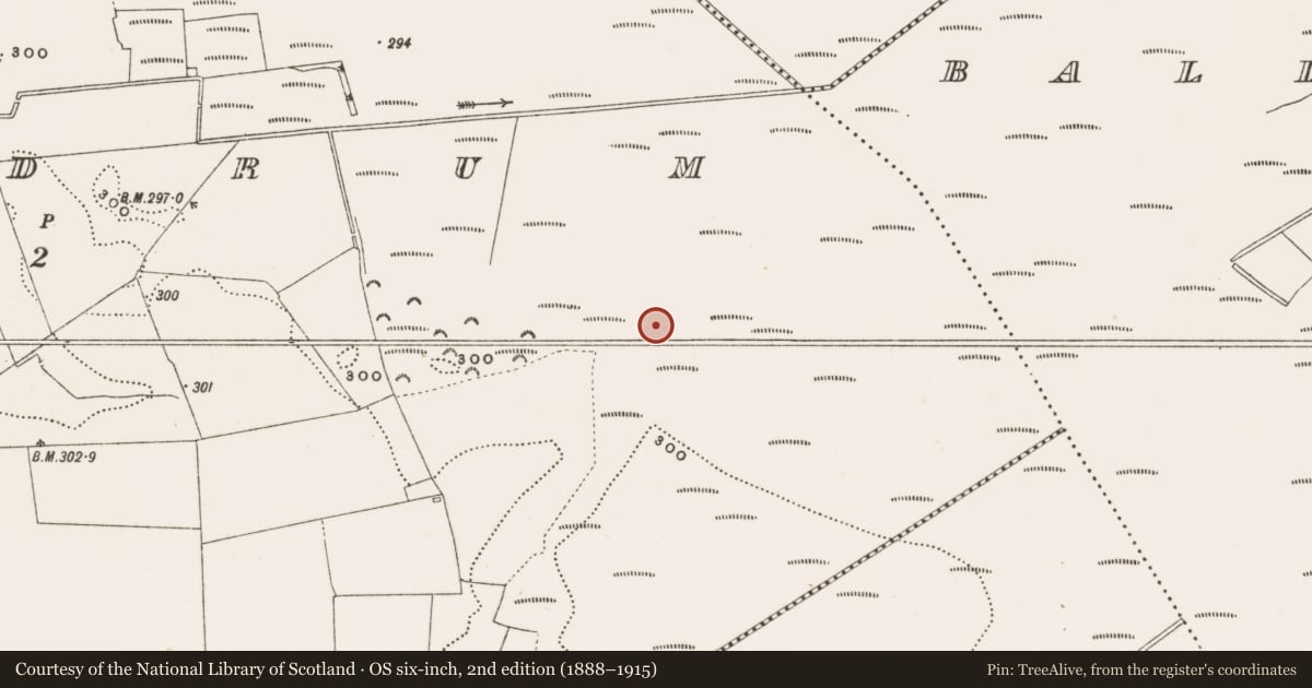 Ordnance Survey six-inch map, 2nd edition (1888–1915) covering the location of Road - class 3 togher, Rathdrum, County Offaly, with a pin at the register's coordinates