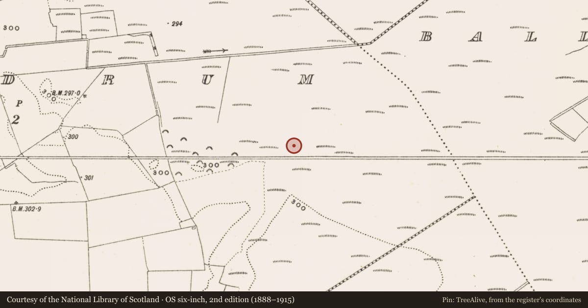 Ordnance Survey six-inch map, 2nd edition (1888–1915) covering the location of Road - class 3 togher, Rathdrum, County Offaly, with a pin at the register's coordinates