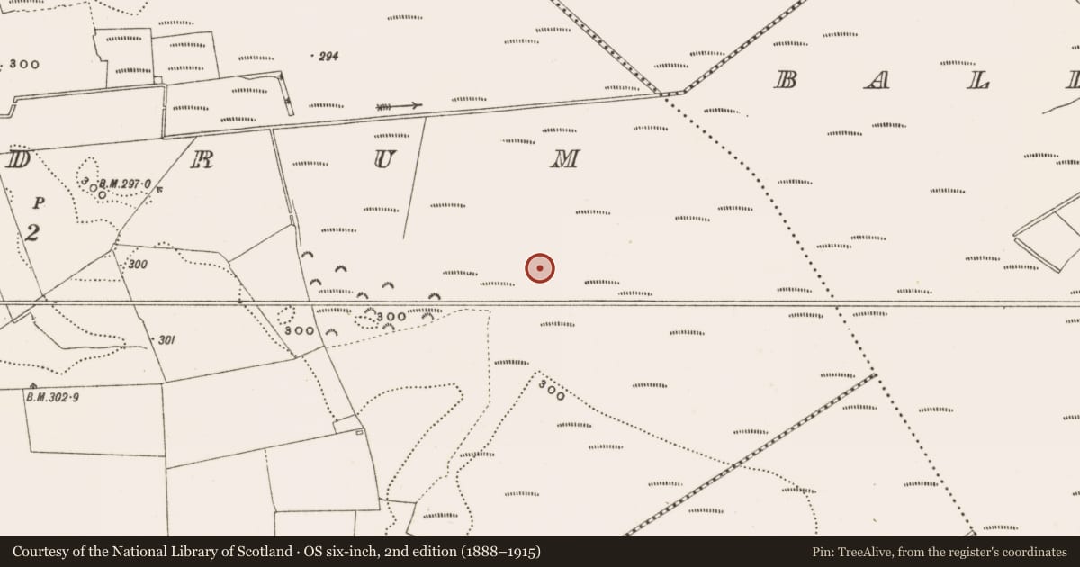 Ordnance Survey six-inch map, 2nd edition (1888–1915) covering the location of Structure - peatland, Rathdrum, County Offaly, with a pin at the register's coordinates
