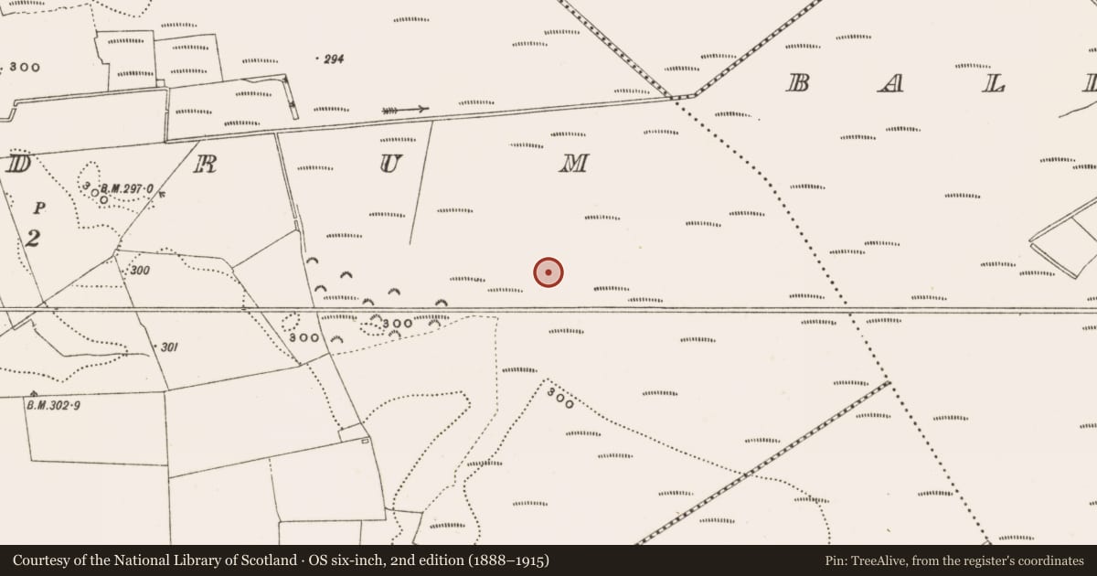 Ordnance Survey six-inch map, 2nd edition (1888–1915) covering the location of Structure - peatland, Rathdrum, County Offaly, with a pin at the register's coordinates