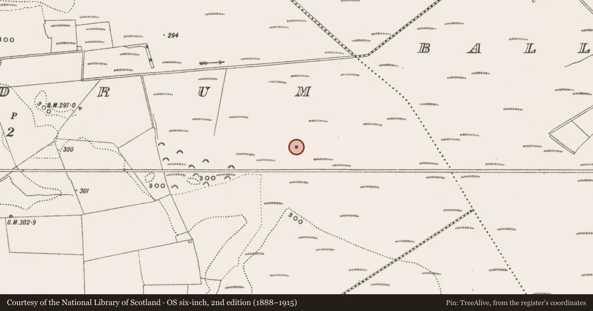 Ordnance Survey six-inch map, 2nd edition (1888–1915) covering the location of Structure - peatland, Rathdrum, County Offaly, with a pin at the register's coordinates