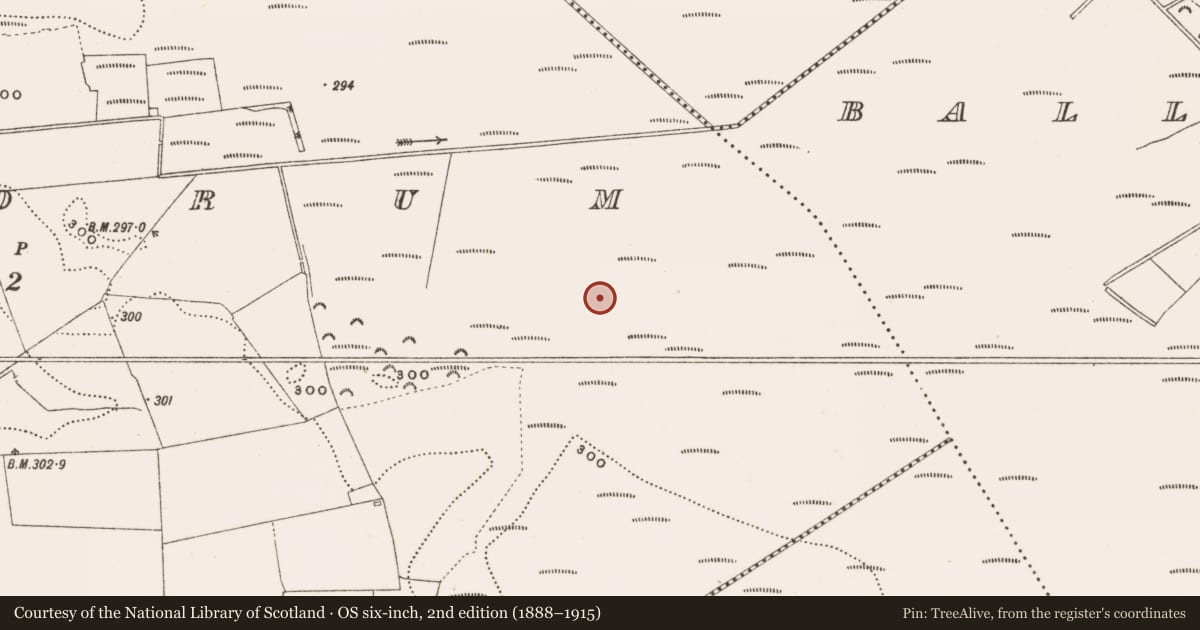 Ordnance Survey six-inch map, 2nd edition (1888–1915) covering the location of Structure - peatland, Rathdrum, County Offaly, with a pin at the register's coordinates