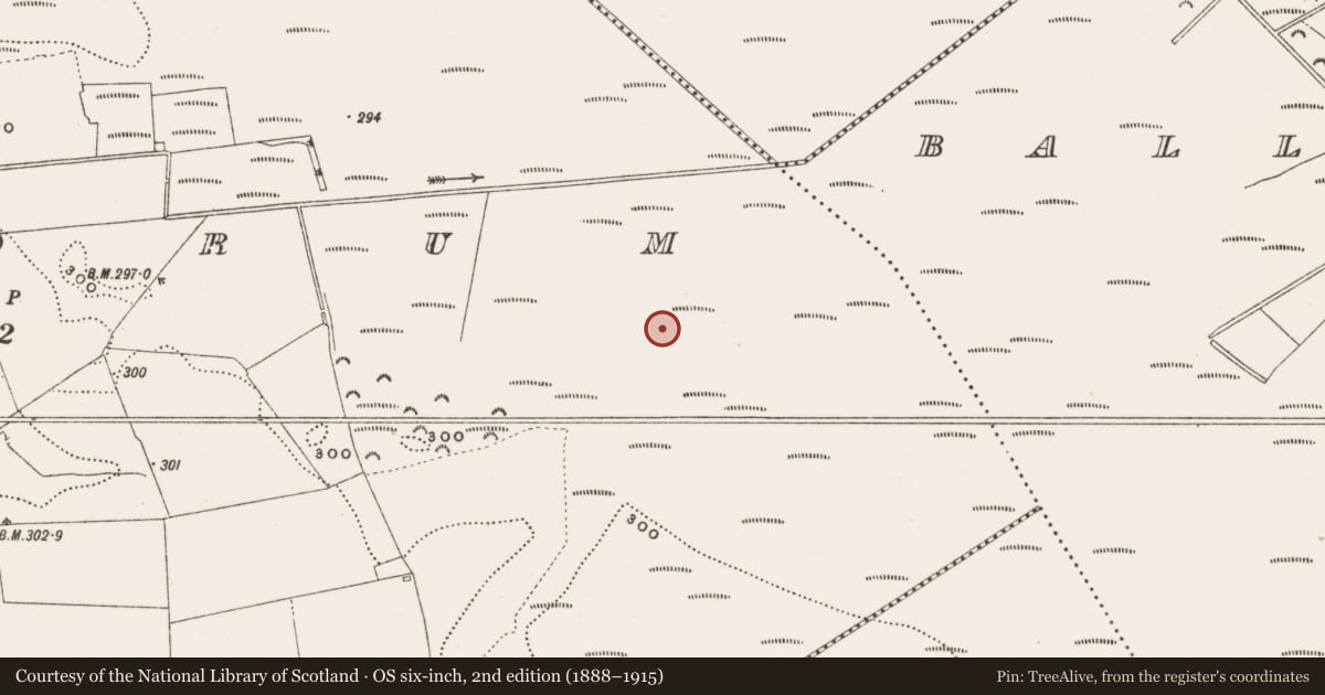 Ordnance Survey six-inch map, 2nd edition (1888–1915) covering the location of Structure - peatland, Rathdrum, County Offaly, with a pin at the register's coordinates