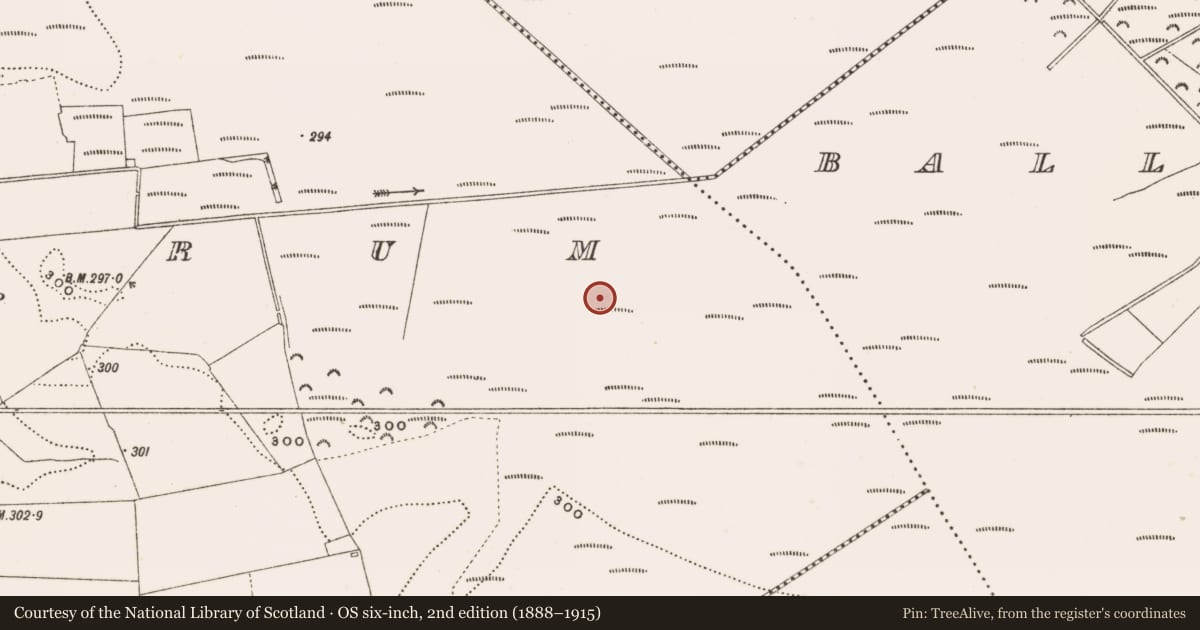 Ordnance Survey six-inch map, 2nd edition (1888–1915) covering the location of Structure - peatland, Rathdrum, County Offaly, with a pin at the register's coordinates