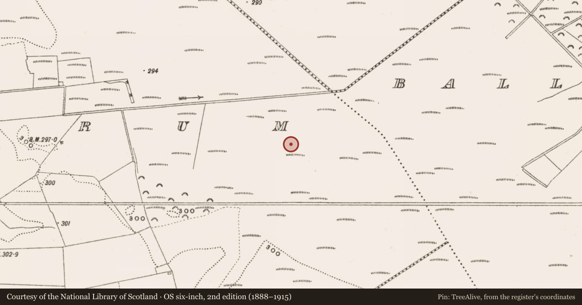 Ordnance Survey six-inch map, 2nd edition (1888–1915) covering the location of Structure - peatland, Rathdrum, County Offaly, with a pin at the register's coordinates