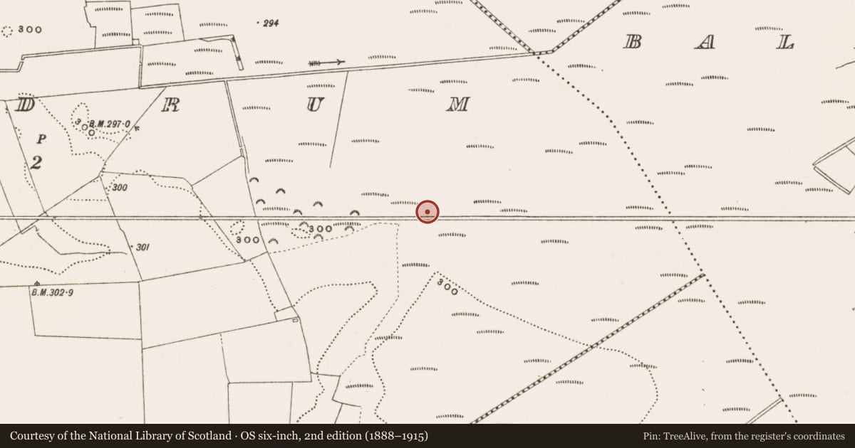 Ordnance Survey six-inch map, 2nd edition (1888–1915) covering the location of Structure - peatland, Rathdrum, County Offaly, with a pin at the register's coordinates