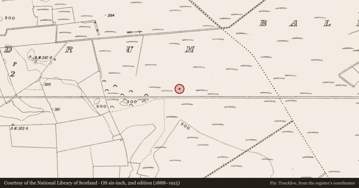 Ordnance Survey six-inch map, 2nd edition (1888–1915) covering the location of Structure - peatland, Rathdrum, County Offaly, with a pin at the register's coordinates