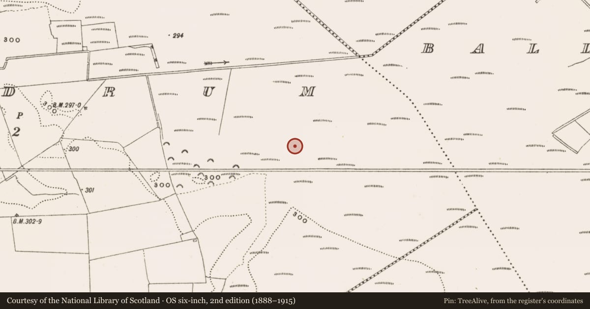 Ordnance Survey six-inch map, 2nd edition (1888–1915) covering the location of Road - class 3 togher, Rathdrum, County Offaly, with a pin at the register's coordinates