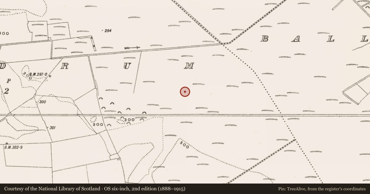 Ordnance Survey six-inch map, 2nd edition (1888–1915) covering the location of Structure - peatland, Rathdrum, County Offaly, with a pin at the register's coordinates