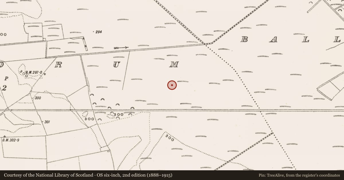 Ordnance Survey six-inch map, 2nd edition (1888–1915) covering the location of Structure - peatland, Rathdrum, County Offaly, with a pin at the register's coordinates