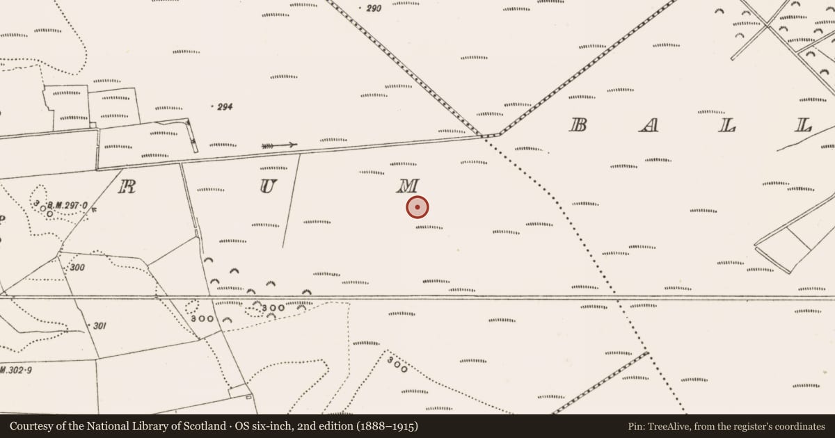 Ordnance Survey six-inch map, 2nd edition (1888–1915) covering the location of Structure - peatland, Rathdrum, County Offaly, with a pin at the register's coordinates