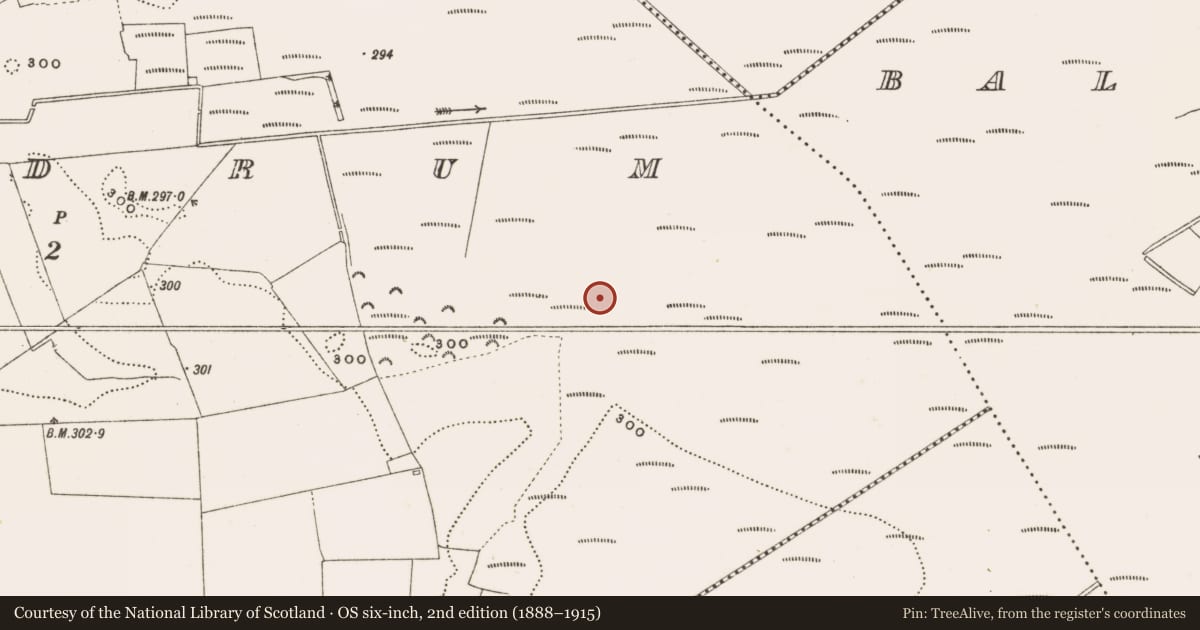 Ordnance Survey six-inch map, 2nd edition (1888–1915) covering the location of Structure - peatland, Rathdrum, County Offaly, with a pin at the register's coordinates