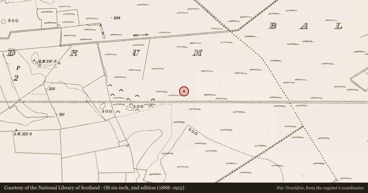 Ordnance Survey six-inch map, 2nd edition (1888–1915) covering the location of Structure - peatland, Rathdrum, County Offaly, with a pin at the register's coordinates