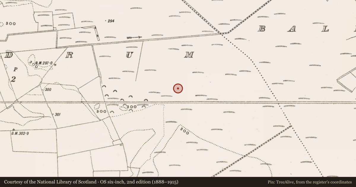 Ordnance Survey six-inch map, 2nd edition (1888–1915) covering the location of Structure - peatland, Rathdrum, County Offaly, with a pin at the register's coordinates