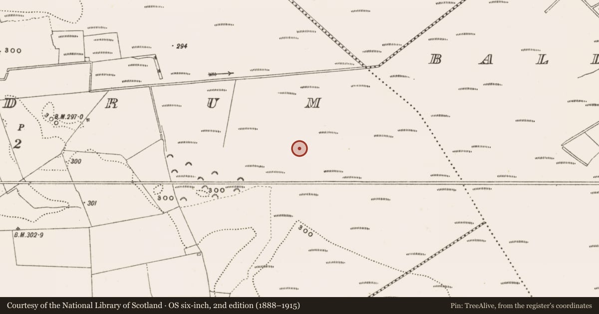 Ordnance Survey six-inch map, 2nd edition (1888–1915) covering the location of Structure - peatland, Rathdrum, County Offaly, with a pin at the register's coordinates