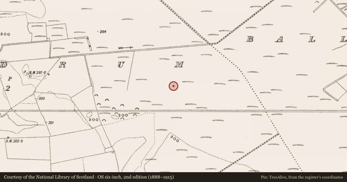 Ordnance Survey six-inch map, 2nd edition (1888–1915) covering the location of Structure - peatland, Rathdrum, County Offaly, with a pin at the register's coordinates