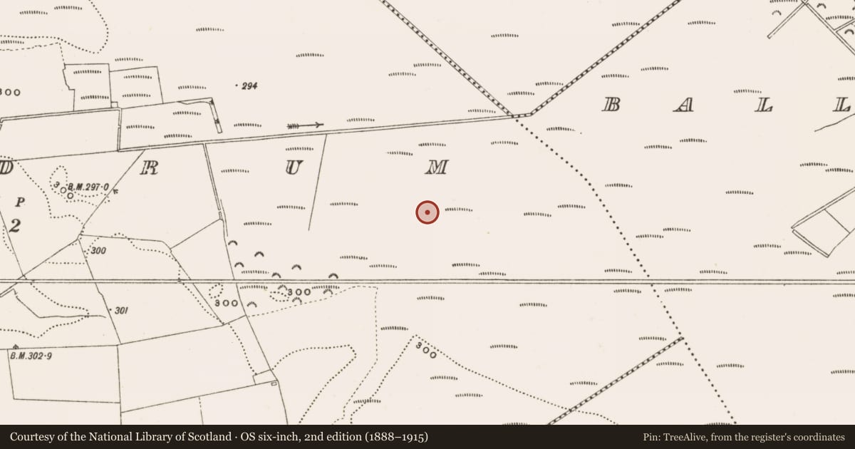 Ordnance Survey six-inch map, 2nd edition (1888–1915) covering the location of Structure - peatland, Rathdrum, County Offaly, with a pin at the register's coordinates