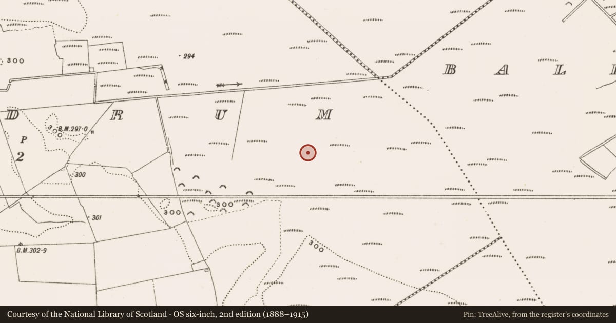 Ordnance Survey six-inch map, 2nd edition (1888–1915) covering the location of Structure - peatland, Rathdrum, County Offaly, with a pin at the register's coordinates